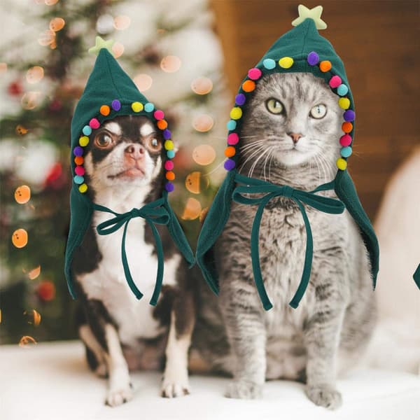 Julekattekostume, Julekostume til hund, Julesjal