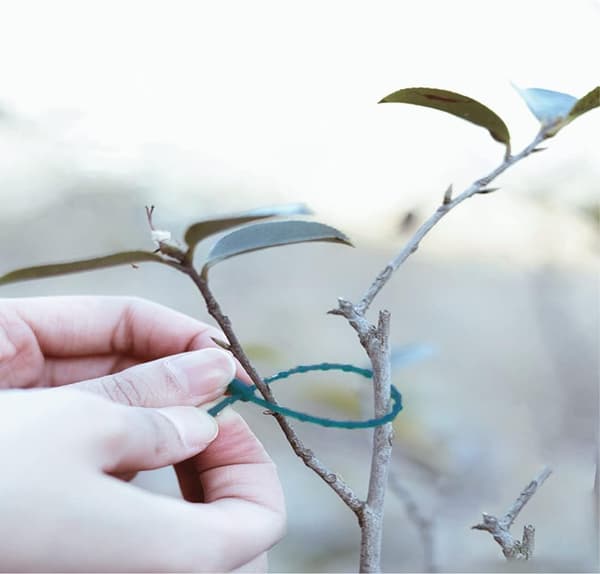 100 st justerbara växtbindningar flexibla plastträdgårdsbindningar Hjälp S