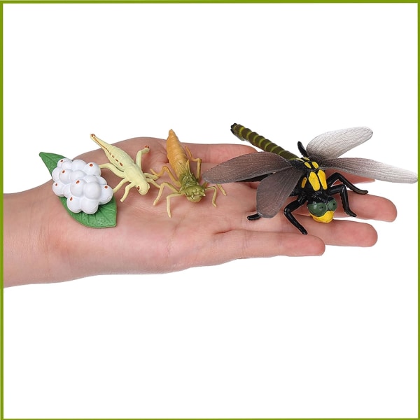 16-pack insektsleksakers livscykel för fjäril, bi, trollslända och L