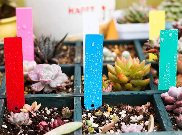100 stk. stive plastplanter