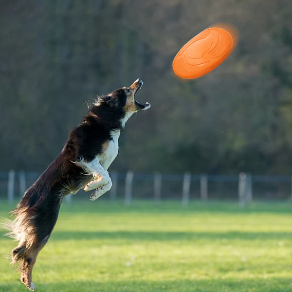 Luonnonkuminen koiran frisbee - punainen