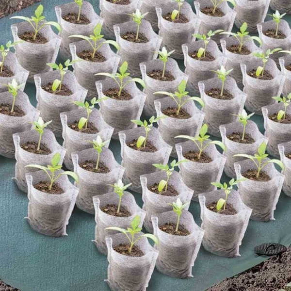 Planteposer til såning - 50 stk.