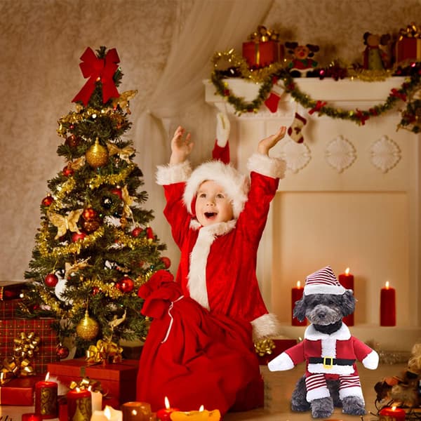 Hund- och katt tomtekläder, söt tomte för husdjur till jul