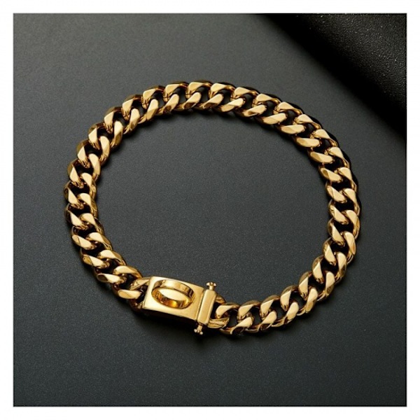 1 st guld hundhalsband med säker spänndesign, tuggbeständig