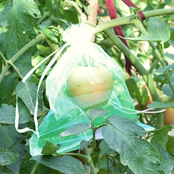 Druesekk, 50 stk fruktbeskyttelsespose, pustende organza
