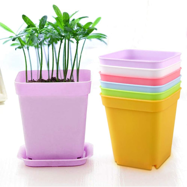 24 stk plastpotter, 7x7cm, for sukkulenter og små potter