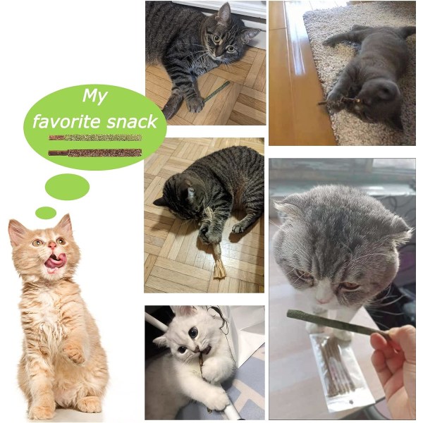 6 Matatabi Catnip Sticks, Naturligt Kattelegetøj, Kattegodbidder, Dental Ca