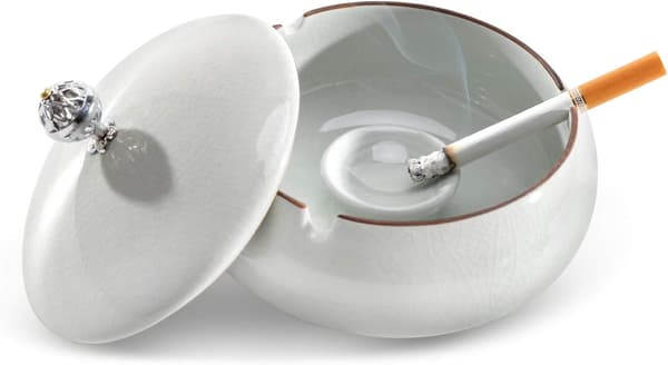 Utomhus askkopp med lock, stängd keramisk cigarr askkopp design myra