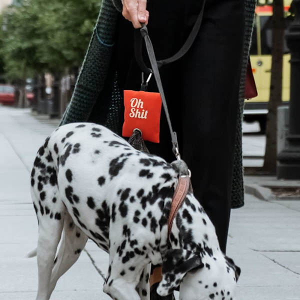2 färger Poop Bag Dispenser, Bärbar Koppelhållare, Med Metall Cl