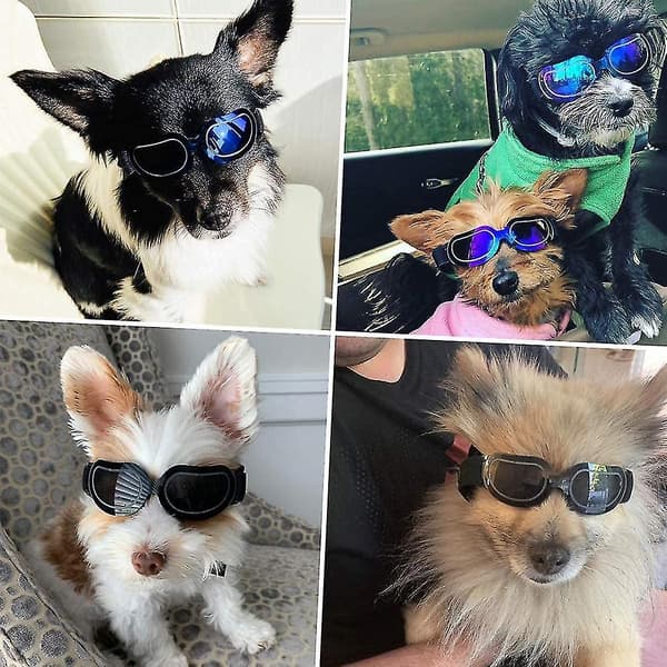 Sorte, Enjoy Small Hunde Goggles Anti-UV Sne og Vindtætte Goggles