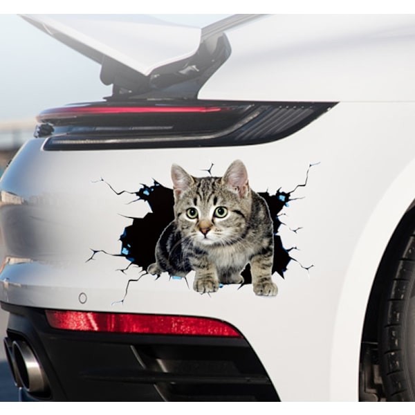 3D-kattklistremer Søte kattdekorative klistremer Kattklistremer Dyretema D