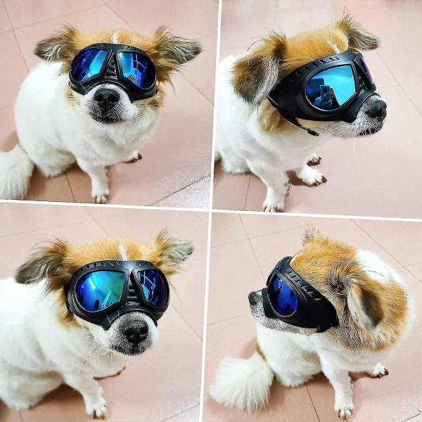 Hundebriller Øjenbeskyttelse Hundesolbriller Anti-uv Goggles Windpro