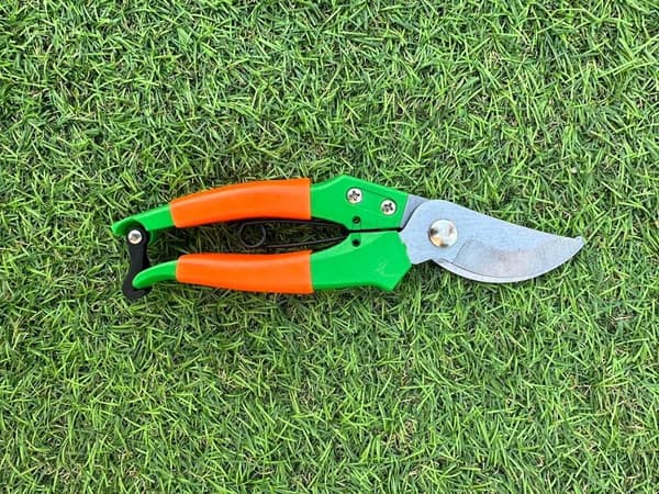 1 kpl vihreät puutarhan leikkurit 19 cm suora terä - Ergonominen