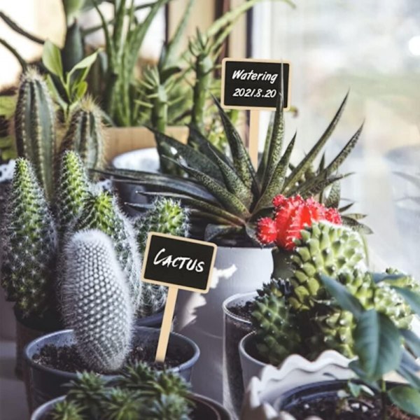 20 stycken träplantmärken, utomhus trädgårdsmärken, plantmärken