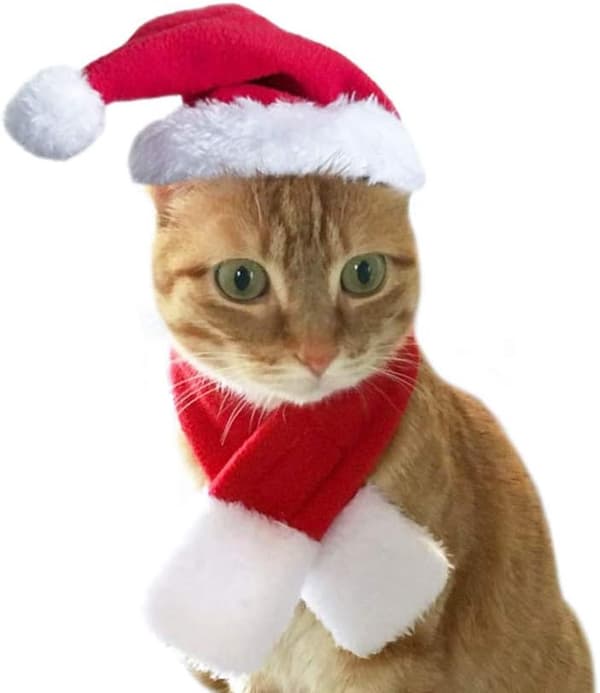 (S) Julekostume til katte, 4 dele, tøj til katte og hunde, rensdyr