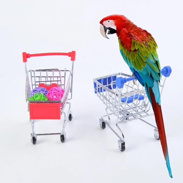 Pedagogisk papegojleksak set, papegojaskateboard Mini Ca