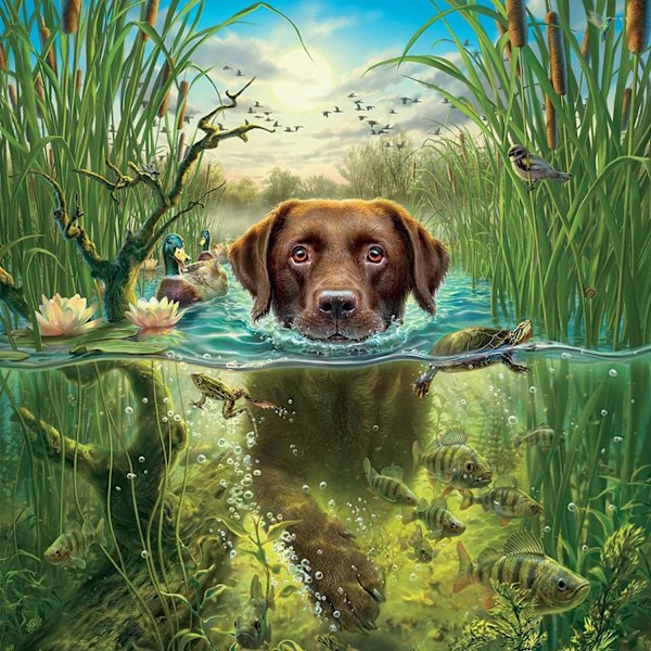 Puppy 5D DIY timanttimaalaussetti, timanttimaalauskuva