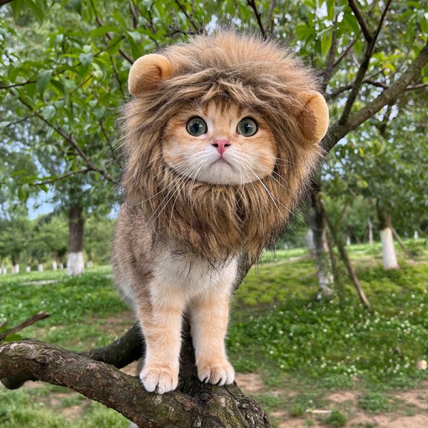 Stor brun bedårande lejonmansdräkt för katter, luddig husdjursperuk
