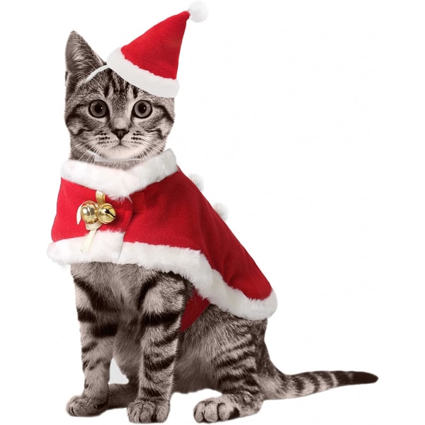 Nyd kattens juleklær, nissehue og rød jul