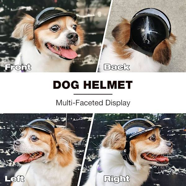 (L)Hjelm til hund, hovedbeskyttelse, kæledyrshjelm med ørehuller, motorcykel
