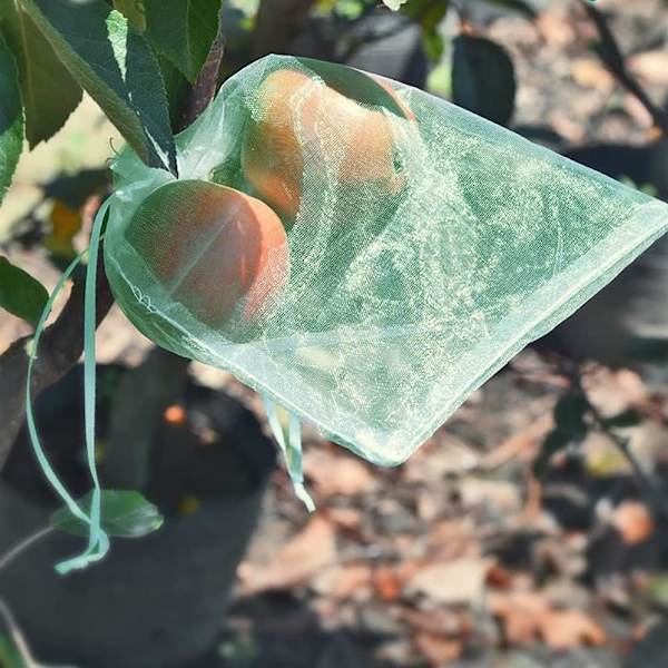 Druesekk, 50 stk fruktbeskyttelsespose, pustende organza