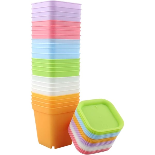 24 stk plastpotter, 7x7cm, for sukkulenter og små potter