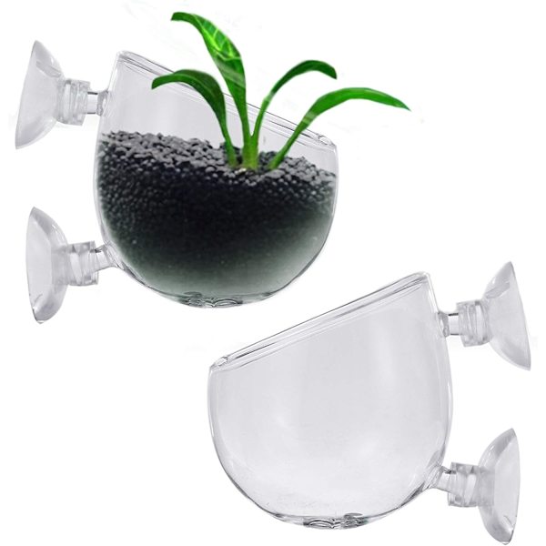 2 x Glas til Planteakvarium Dekoration Lille Fisketank med 4 x