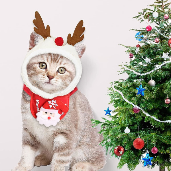 Julekostume til kæledyr, julekostume til hund, sød julehat