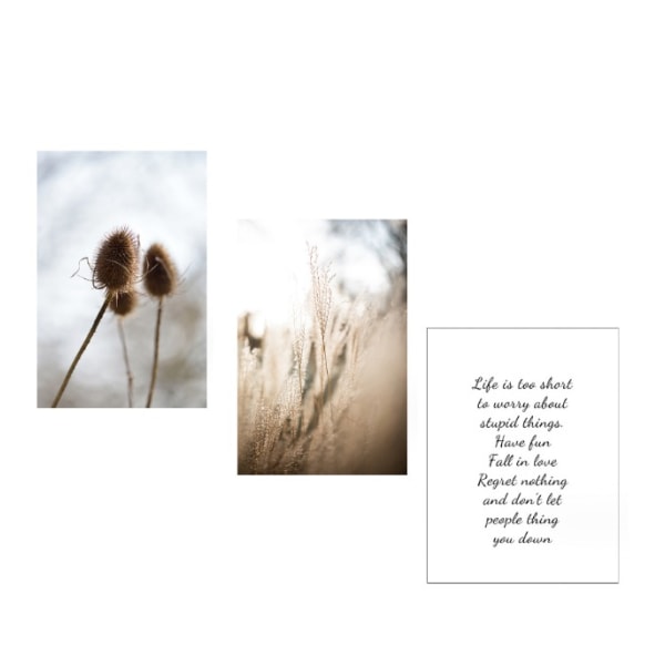 Set of 3 Unframed Premium Posters, Pampas Grass, Modern Pictures,