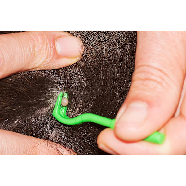 Set med 3 fästingkrokar/3 stycken - Anti-fästingpincett för katter, D