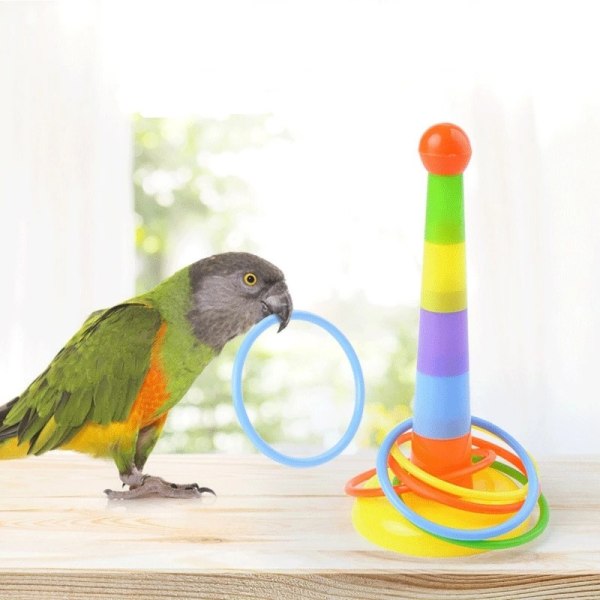 Pedagogisk papegojleksak set, papegojaskateboard Mini Ca