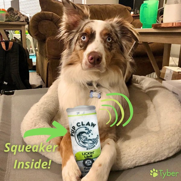 Pup Claw Dog Toys - Roliga söta plysch hundleksaker med Squeaker - Par