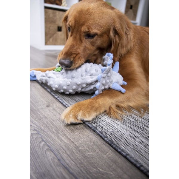 Grå, skräckinjagande pipig plyschhund leksak med tuggskydd