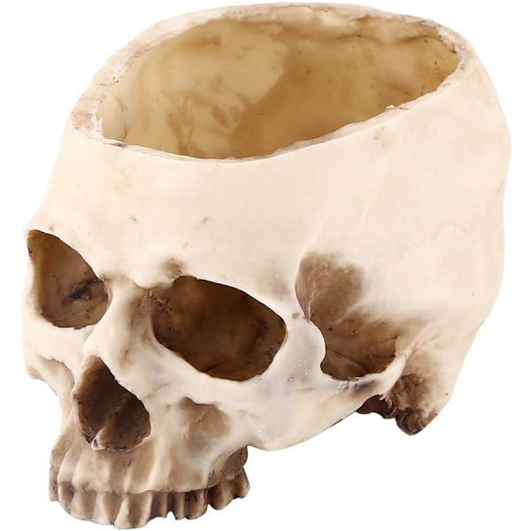 Harpiks Kranie Blomsterpot Kranie Vase Harpiks Hoved Model Halloween Del