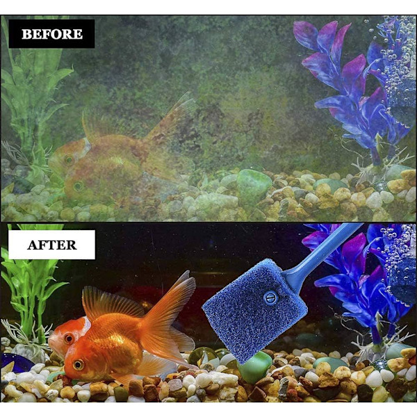 Akvarieglas skraber, Akvarieglas rengøring, Akvarie rengøring