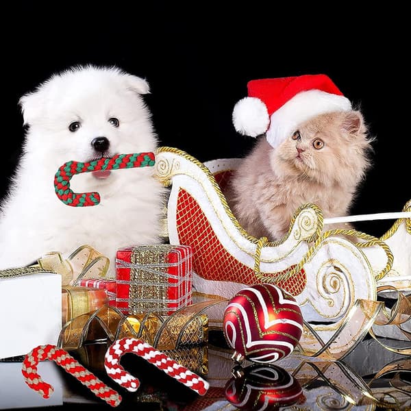 Tyggetov Hundelegetøj - Jule Candy Cane Legetøj - Jule Hundereb