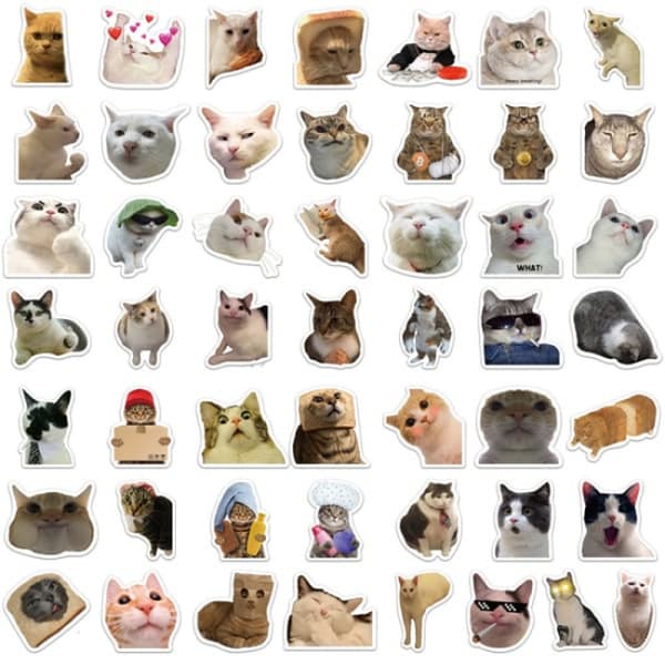 50 stk. Kat MEME Dyr Stickers Legetøj Graffiti Dekaler til børn