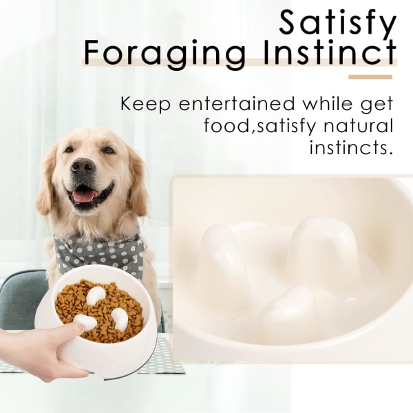 Anti Glutton Bowl til hundekat, skridsikker foderskål, der fremmer