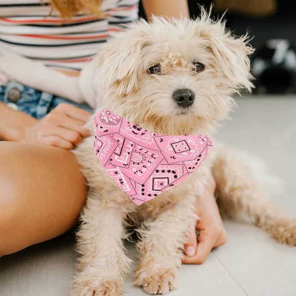 4-pack hundsnusnäsdukar, triangelhaklappar för husdjur, halsband för hund, Kerchie