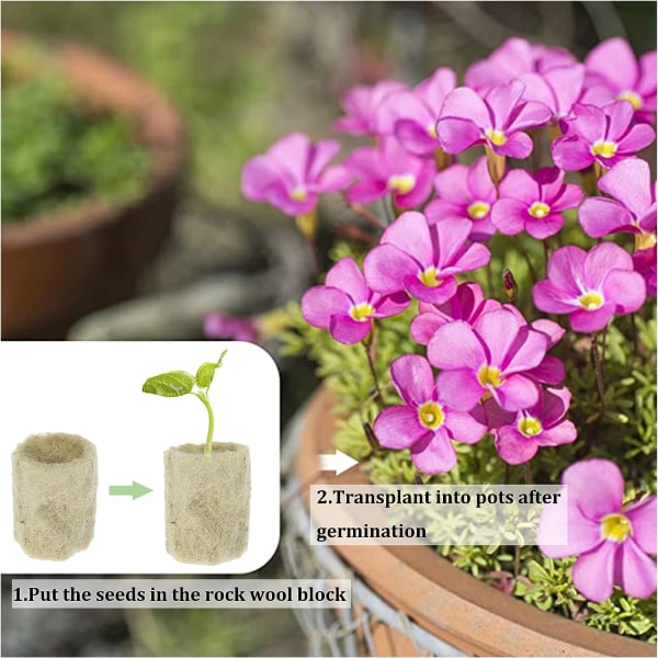 50 stk. Hydroponiske Rockwool Cube Block Plugs Rockwools Voksende