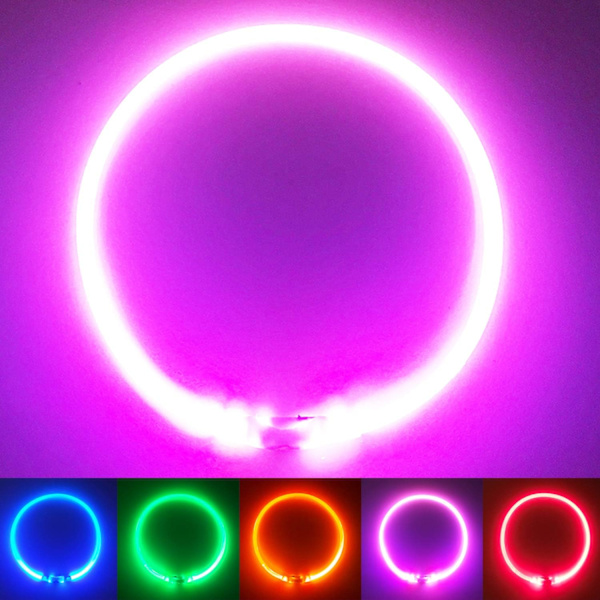 LED-panta - Kevyt, USB-ladattava turvapannan koirille