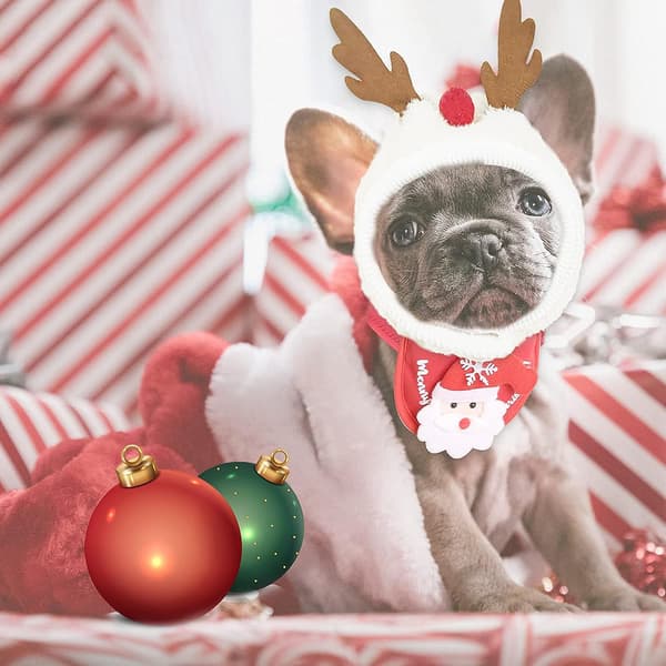 Julekostume til kæledyr, julekostume til hund, sød julehat