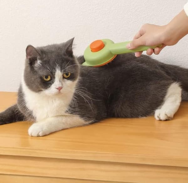 Børste til hund og kat, hundebørste, kattebørste, børste til fjernelse af hår til L