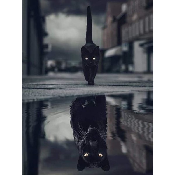 30*40cm Black Cat Panther Animal Reflection Diamond Painting Cross
