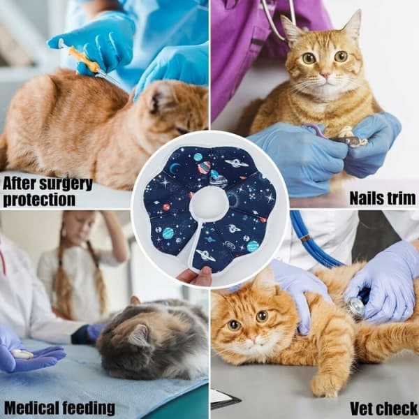 Blå Krage for Katt Anti-Bite Beskyttelse Justerbar Krage