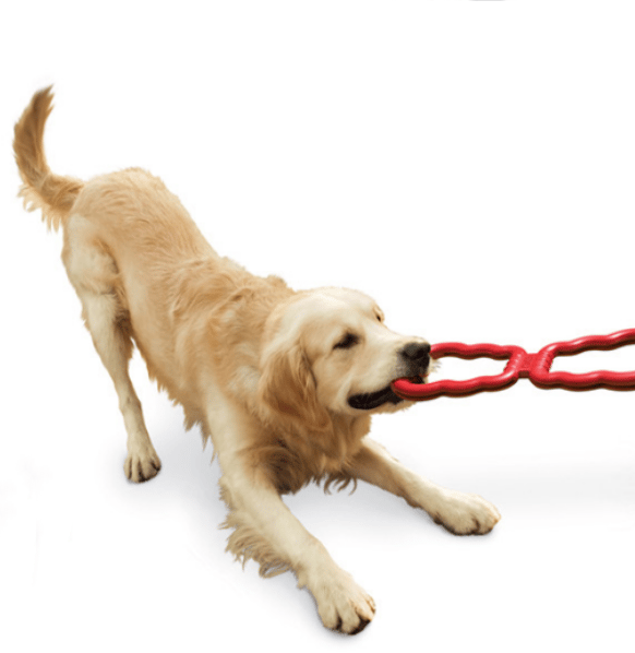 Heavy Duty stretch Rubber traction toy - pour chiens de taille mo