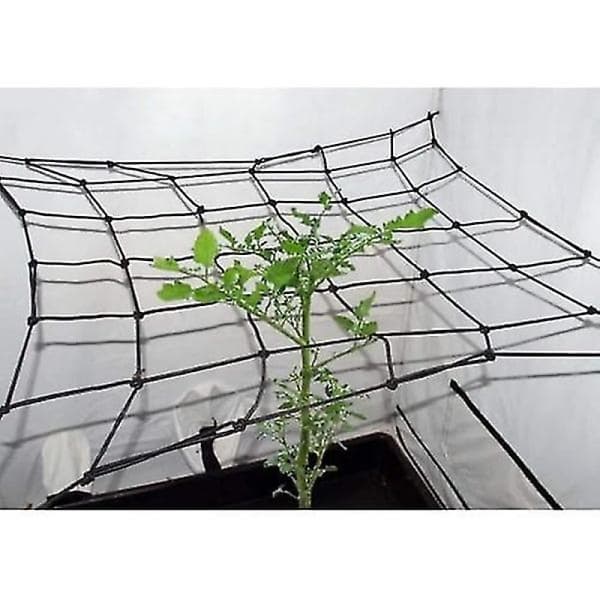 (100X100) Hydroponisk dyrkningsrum nettelt plante støtte net elastisk