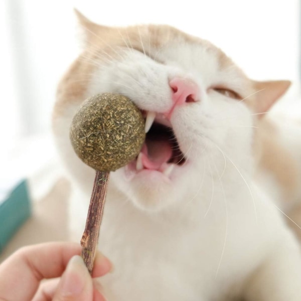 3 Kattdjur Catnip Snutt Kattdjur Matatabi Leksak Kattleksaker med S