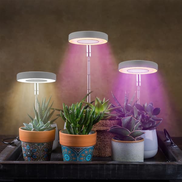 INF Plantebelysning for potteplanter varm hvit/hvit