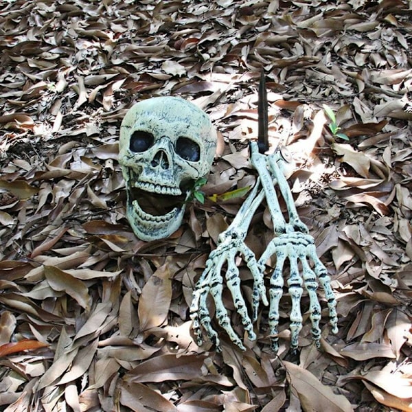 Halloween-koristelu, kallo ja käden luut, simuloitu kallorekvisiitta